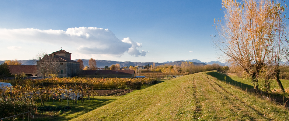 Eventi di Novembre: I sapori e le feste dell’autunno a Padova