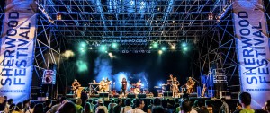 Sherwood Festival 2014 Padova Mestre
